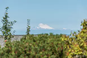 408 W Eunice St, Sequim, WA 98382 - Photo 3