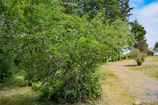3984 NE Twin Spits Rd, Hansville, WA 98340 - Photo 9