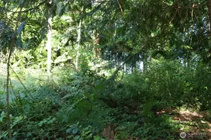 1924 Elger Bay Rd, Camano Island, WA 98282 - Photo 29