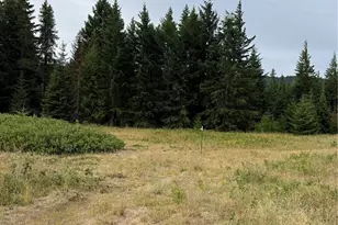 730 Tall Pines Dr, Cle Elum, WA 98992 - Photo 21