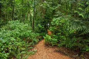 9067 Hidden Cove Road NE, Bainbridge Island, WA 98110 - Photo 25