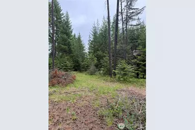 750 Tall Pines Drive #2 of 2, Cle Elum, WA 98992 - Photo 5