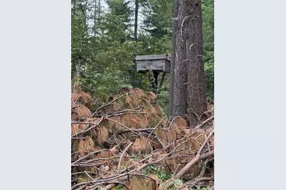 750 Tall Pines Drive #2 of 2, Cle Elum, WA 98992 - Photo 1