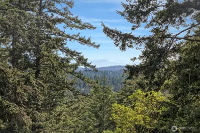 918 Terrace Drive, Friday Harbor, WA 98250 - Photo 19