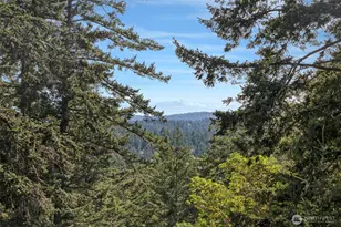 918 Terrace Dr, Friday Harbor, WA 98250 - Photo 19