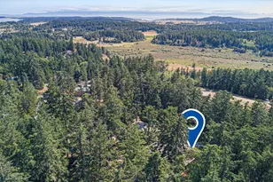 918 Terrace Dr, Friday Harbor, WA 98250 - Photo 13