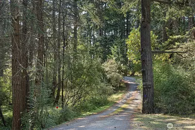 918 Terrace Drive, Friday Harbor, WA 98250 - Photo 9