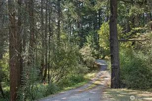 918 Terrace Dr, Friday Harbor, WA 98250 - Photo 9