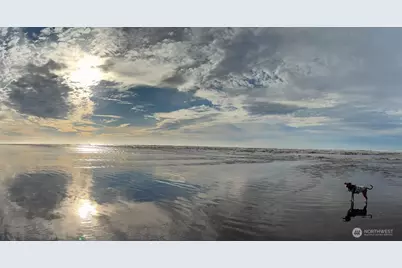 6 4th Street N, Pacific Beach, WA 98571 - Photo 15