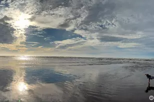 6 4th St N, Pacific Beach, WA 98571 - Photo 15