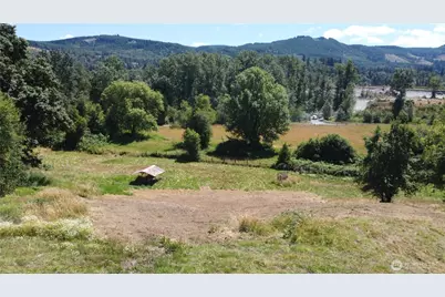 3808 Westside Highway, Castle Rock, WA 98611 - Photo 3