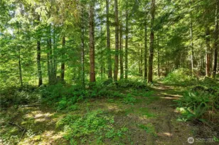 47009 SE 153rd St, North Bend, WA 98045 - Photo 35