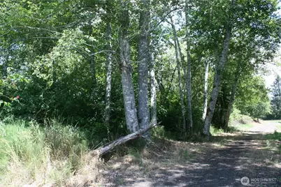 0 Farrell Street, Aberdeen, WA 98520 - Photo 5