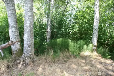 0 Farrell Street, Aberdeen, WA 98520 - Photo 1