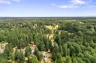 7709 295th St S, Roy, WA 98580 - Photo 29