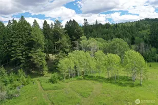 567 Pontiac Ridge Rd, Oroville, WA 98844 - Photo 7