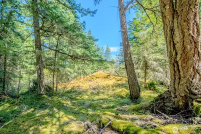 678 Swan Road, Orcas Island, WA 98245 - Photo 1