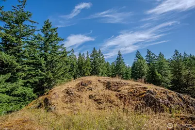 734 Swan Road, Orcas Island, WA 98245 - Photo 25