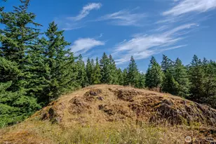 734 Swan Rd, Orcas Island, WA 98245 - Photo 25