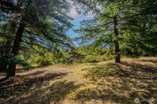 734 Swan Rd, Orcas Island, WA 98245 - Photo 27