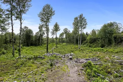 10 Joy Lane #Lot 1, Humptulips, WA 98552 - Photo 13