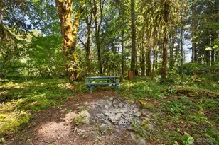 0 Elkhorn Dr, Packwood, WA 98361 - Photo 3