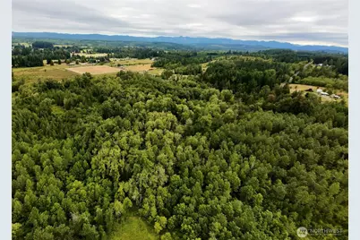 0 Gish Road, Onalaska, WA 98570 - Photo 7
