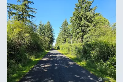 0 Peterson Road SW, Tenino, WA 98589 - Photo 29