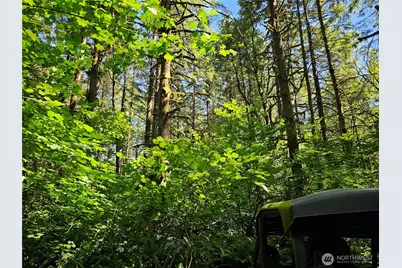 0 Peterson Road SW, Tenino, WA 98589 - Photo 31