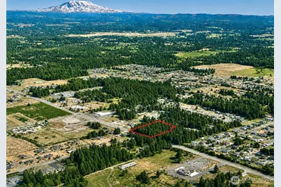 22409 131st Avenue E, Graham, WA 98338 - Photo 11
