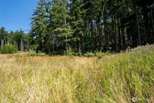 37 Silver Moon Ln, Orcas Island, WA 98280 - Photo 29