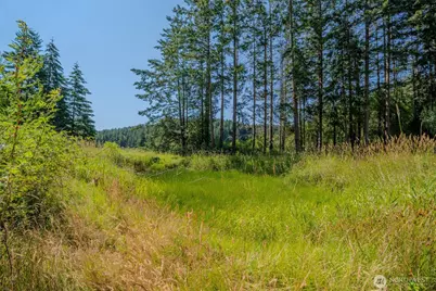 37 Silvermoon Lane, Orcas Island, WA 98280 - Photo 27