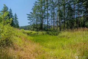 37 Silver Moon Ln, Orcas Island, WA 98280 - Photo 27