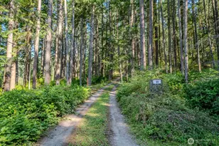 37 Silver Moon Ln, Orcas Island, WA 98280 - Photo 25