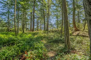 37 Silver Moon Ln, Orcas Island, WA 98280 - Photo 23