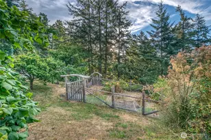 404 Lookout Loop, Orcas Island, WA 98245 - Photo 29