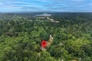 261 E Willow Blue Ln, Shelton, WA 98584 - Photo 5
