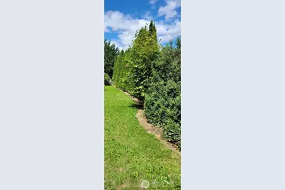 239 Water Street, Hamilton, WA 98255 - Photo 5