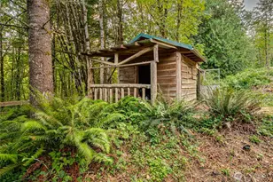 407 N Dubois Rd, Ariel, WA 98603 - Photo 37