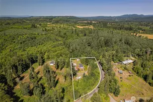 290 Justus Rd, Cinebar, WA 98533 - Photo 3
