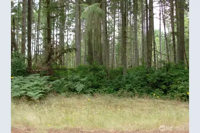 10810 Madrona Drive, Anderson Island, WA 98303 - Photo 1