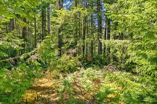 0 Sp1357 E Glenwood Dr, Union, WA 98592 - Photo 1