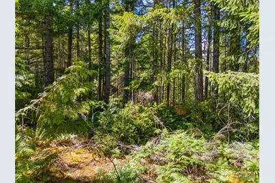 0 Sp1357 E Glenwood Drive, Union, WA 98592 - Photo 5