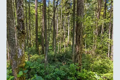 0 Sp1355 E Glenwood Drive, Union, WA 98592 - Photo 3