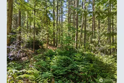 0 Sp1354 E Glenwood Drive, Union, WA 98592 - Photo 1