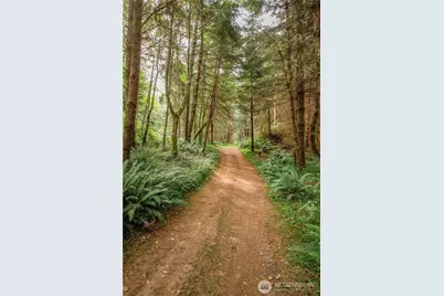 710 Island Ridge Way, Coupeville, WA 98239 - Photo 11