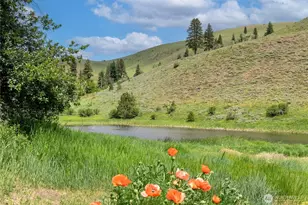 494 Rendezvous Rd, Winthrop, WA 98862 - Photo 33