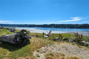 621 NE Gladwin Rd, Belfair, WA 98528 - Photo 3