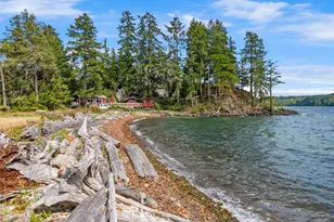 250 N Webster Ln, Lilliwaup, WA 98555 - Photo 39