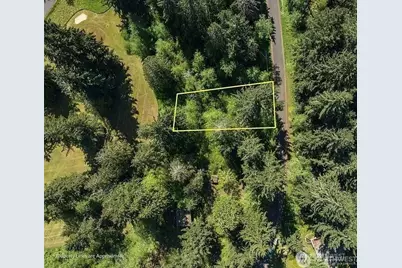 10515 Edgewood Drive, Anderson Island, WA 98303 - Photo 5